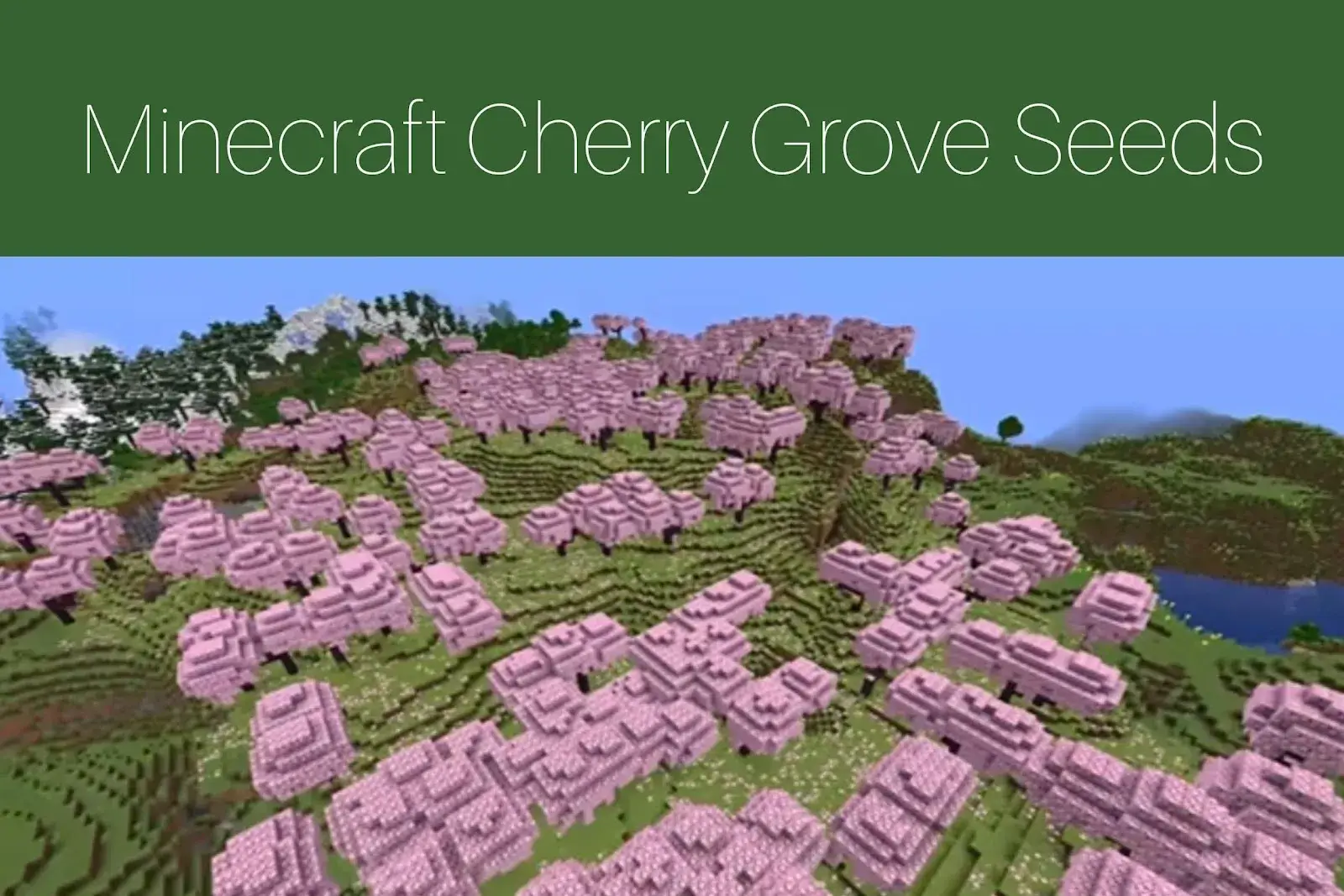 Minecraft Cherry Grove Seeds