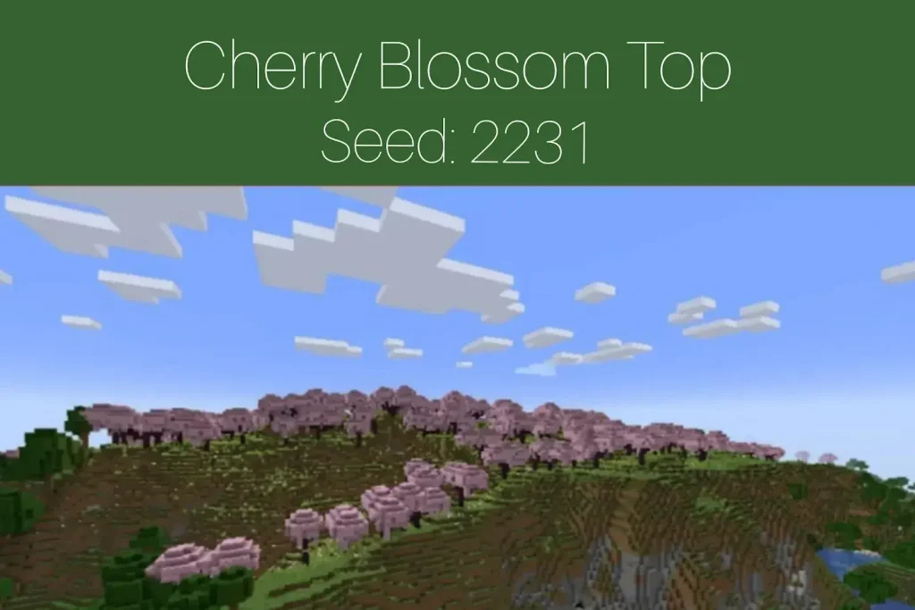 Cherry Blossom Top