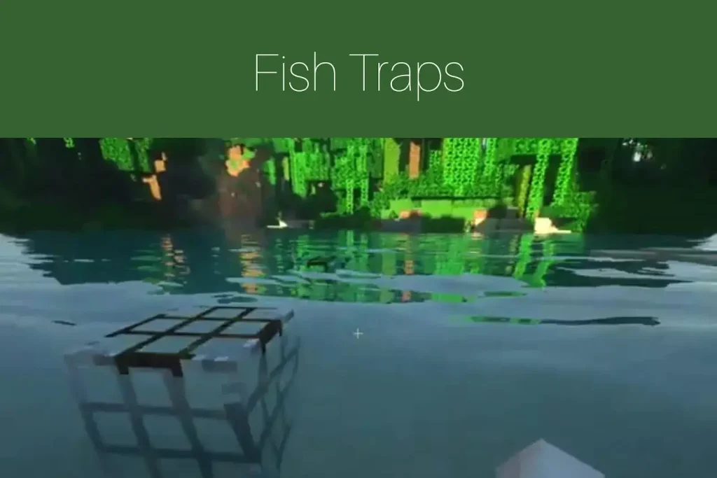 Fish Traps