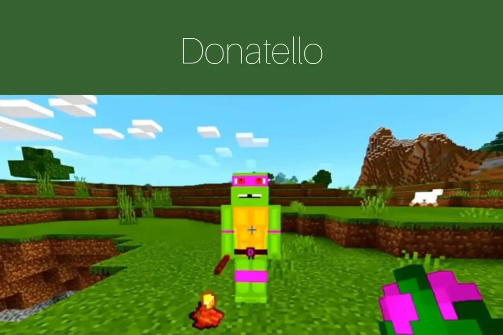 Minecraft Teenage Mutant Ninja Turtles Mod