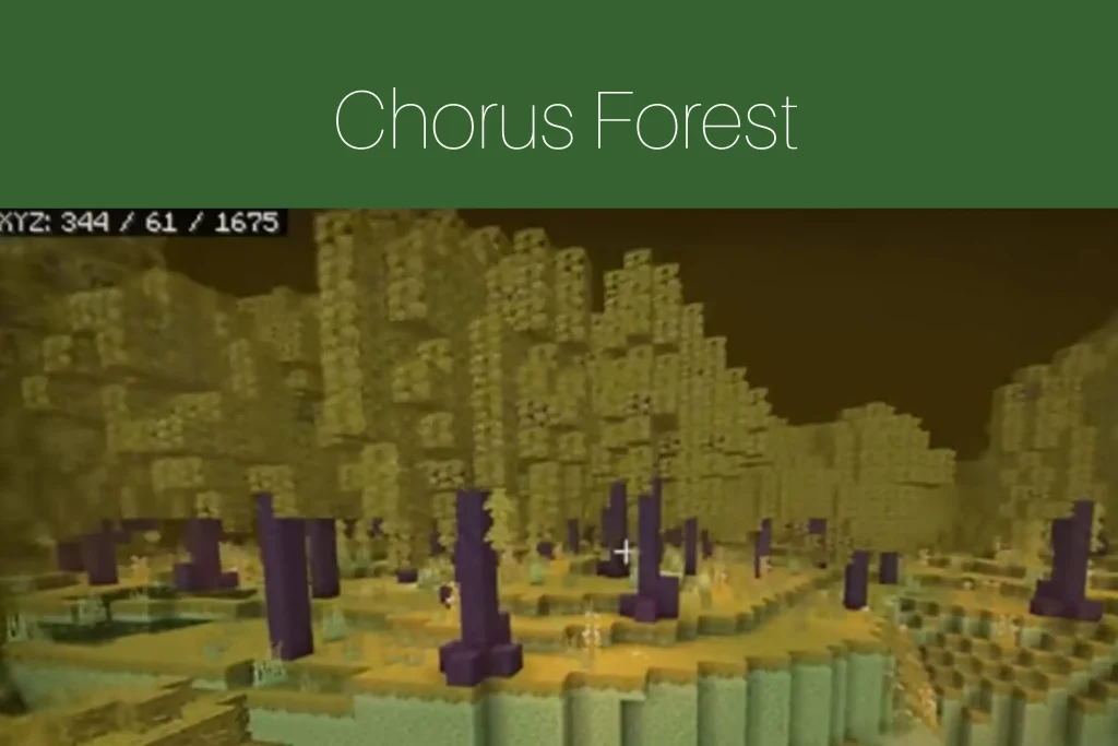 chorus
